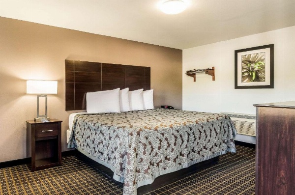 Rodeway Inn Middleboro-Plymouth image 19